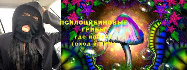 прущие крисы Горно-Алтайск