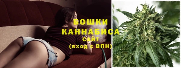 MDMA Premium VHQ Горнозаводск