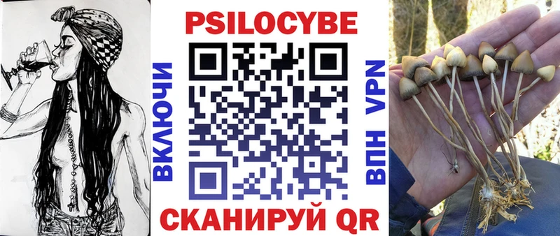 где продают   Пустошка  Галлюциногенные грибы ЛСД 